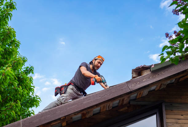 Best Roof Insulation Installation  in Wilmington, DE